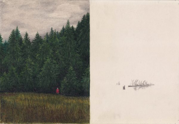 La forêt verte