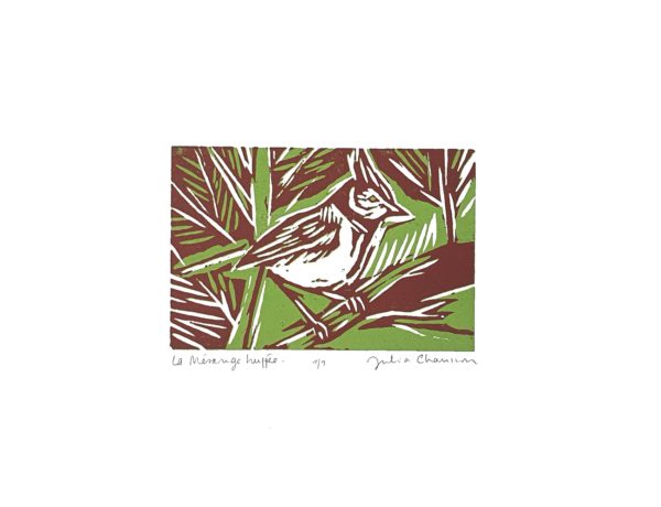La mésange huppée