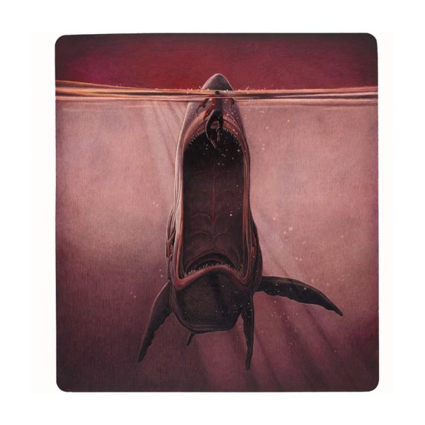 La Baleine