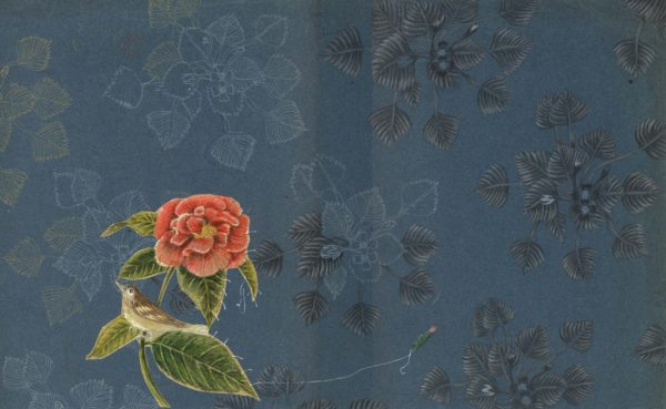 La fleur rouge et l'oiseau