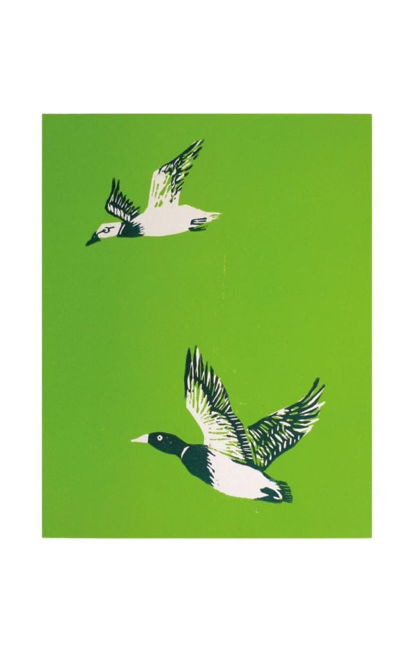 The mallards