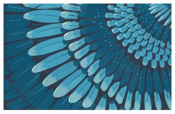Plumes