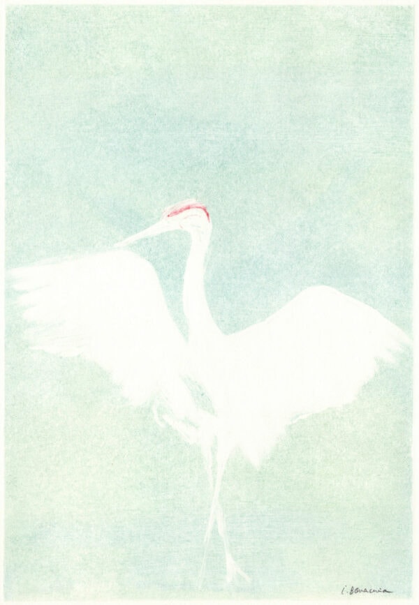 Crane I