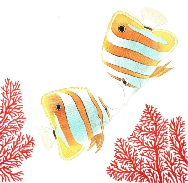 Behind the corals