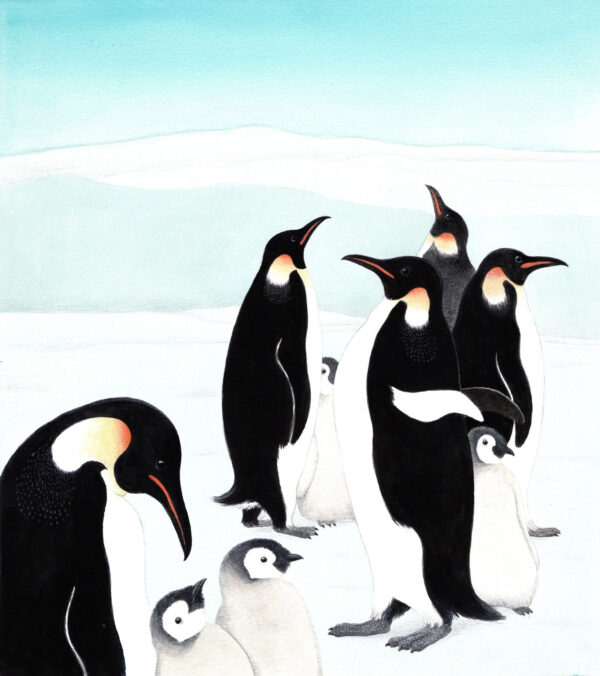 The penguin ballet