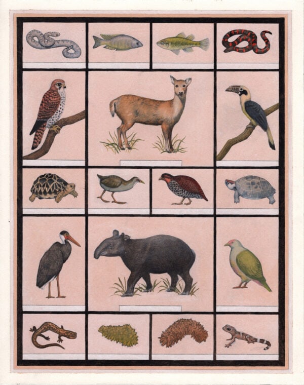 Animal 2