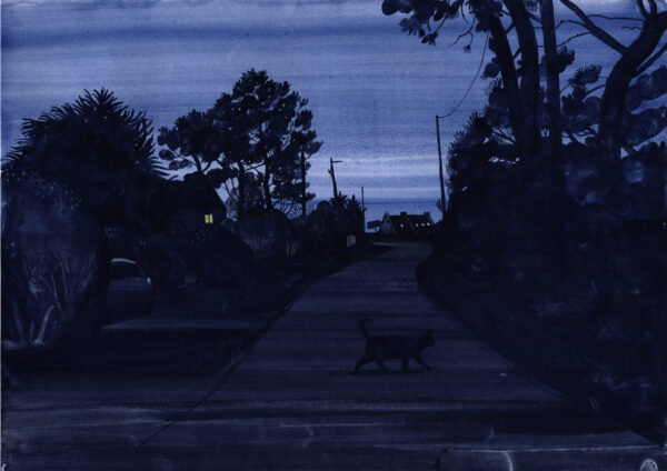 Black cat