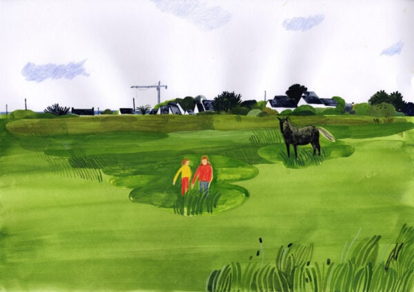 The plain