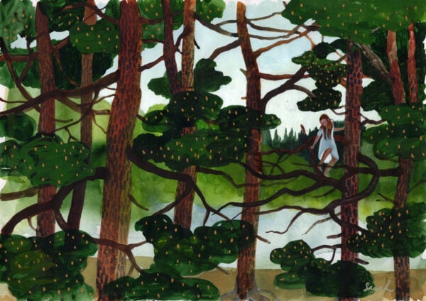 In the heart of the forest