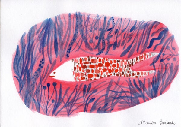Camouflage