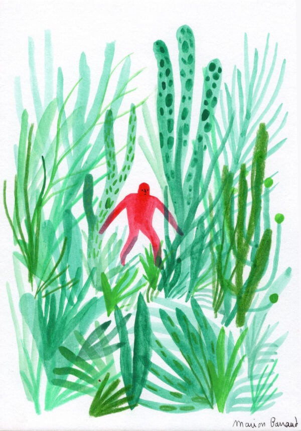 Oily plants
