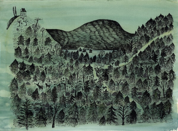 North