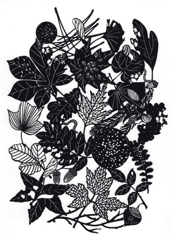 Leaves