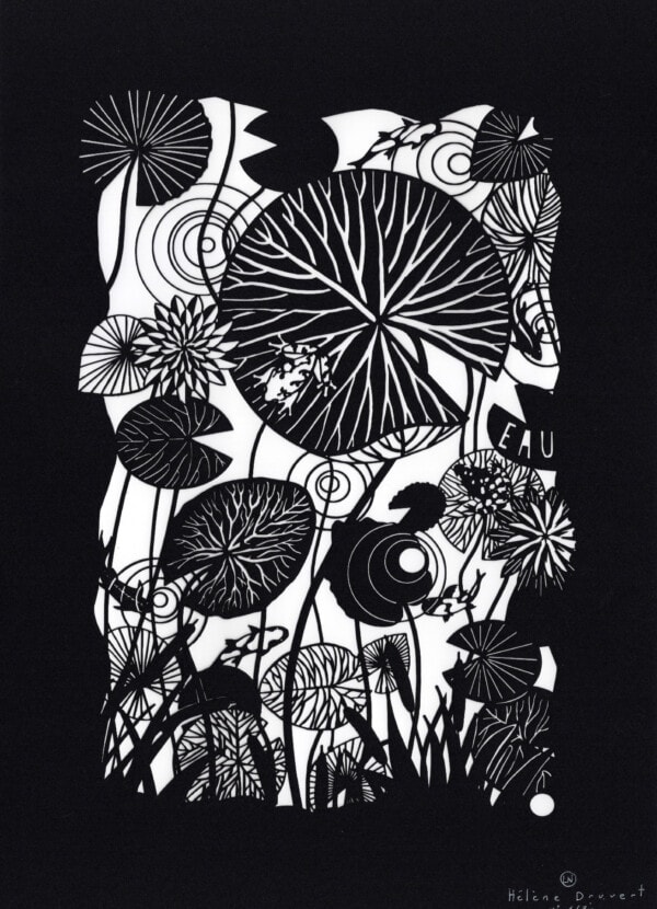 Water lilies