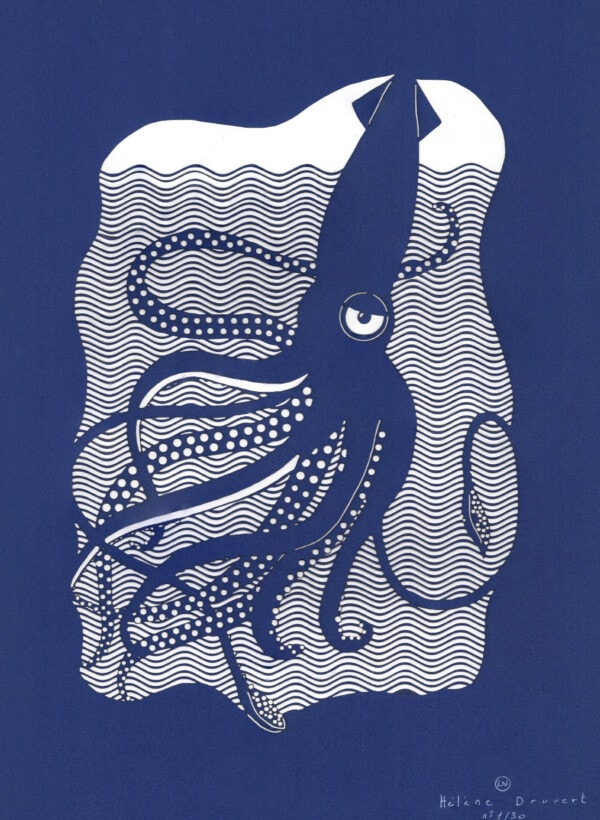 Squid
