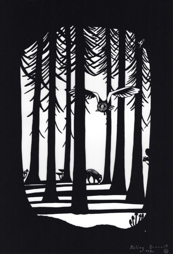 Forest