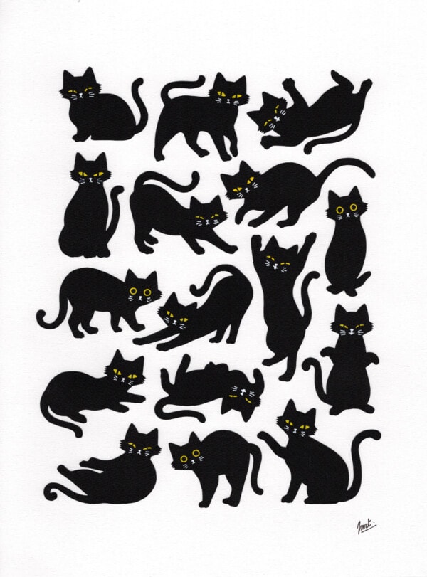 Mix black cats