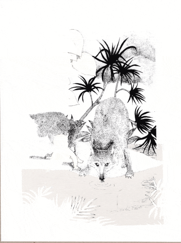 Murmurs of a gum, white night
