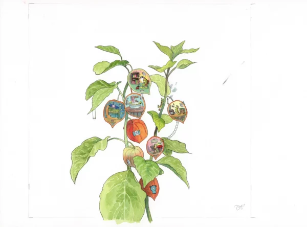 The Physalis house