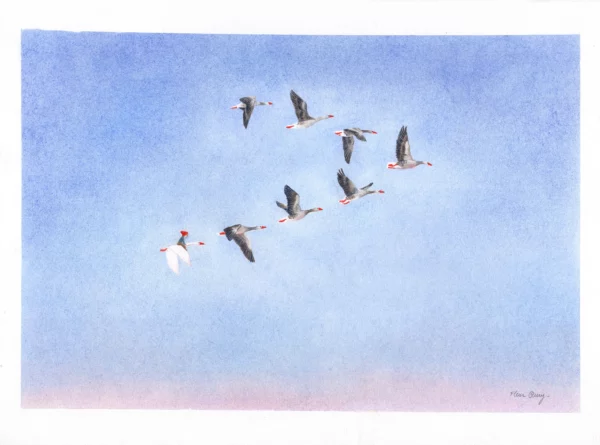 The flight