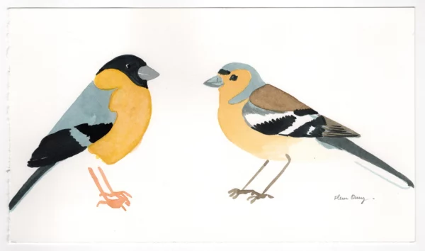 Bullfinch and finch